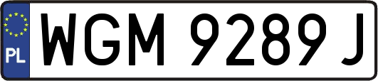 WGM9289J