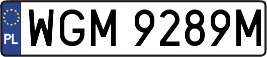 WGM9289M