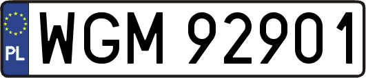 WGM92901