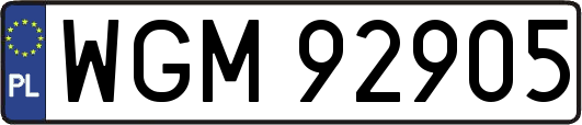 WGM92905