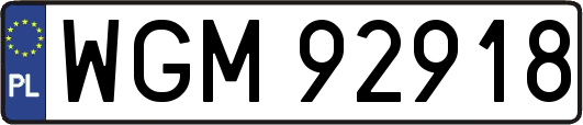 WGM92918