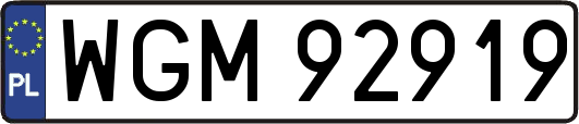 WGM92919