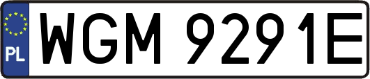 WGM9291E