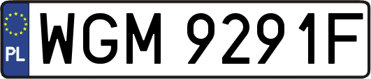 WGM9291F