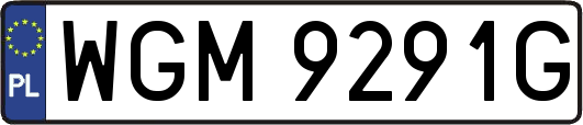 WGM9291G