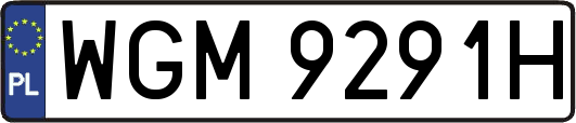 WGM9291H
