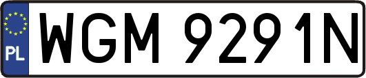 WGM9291N