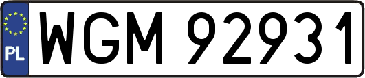 WGM92931