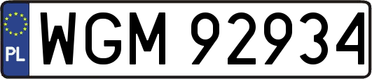 WGM92934