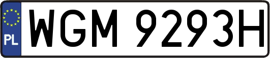 WGM9293H