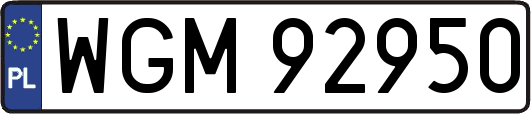 WGM92950