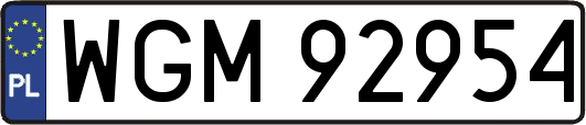 WGM92954