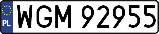 WGM92955