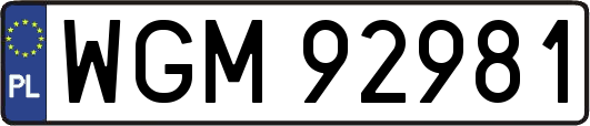 WGM92981