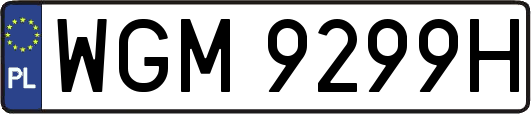 WGM9299H