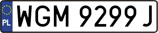 WGM9299J