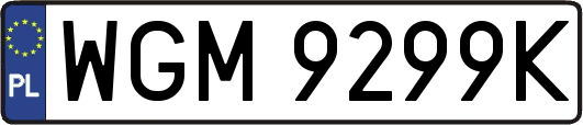 WGM9299K