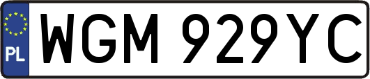 WGM929YC