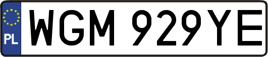 WGM929YE