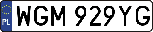 WGM929YG