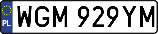 WGM929YM