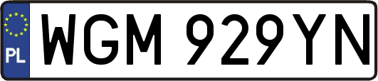 WGM929YN