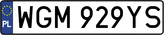 WGM929YS