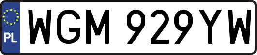 WGM929YW