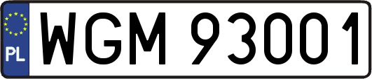 WGM93001