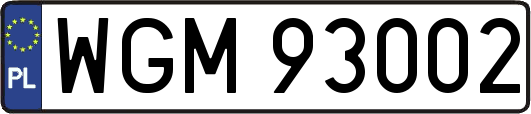 WGM93002