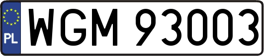 WGM93003