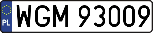 WGM93009