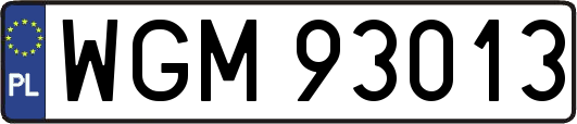 WGM93013