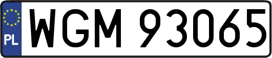 WGM93065