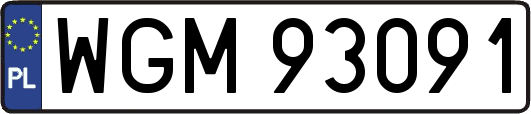 WGM93091