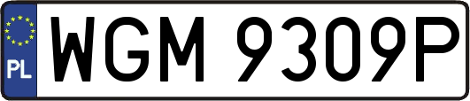 WGM9309P