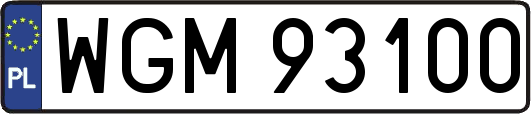 WGM93100