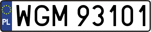 WGM93101