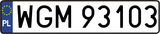 WGM93103