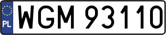 WGM93110