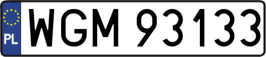 WGM93133