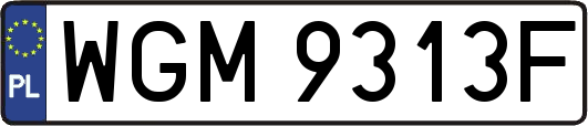 WGM9313F