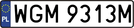 WGM9313M