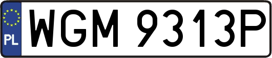 WGM9313P