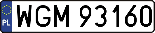 WGM93160