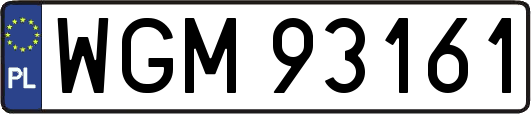 WGM93161