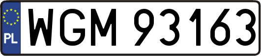 WGM93163