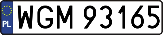 WGM93165