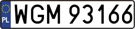 WGM93166