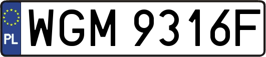 WGM9316F